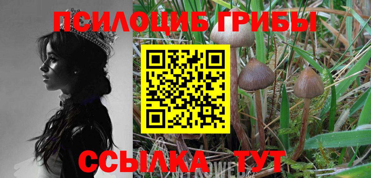Псилоцибиновые грибы GOLDEN TEACHER Рославль
