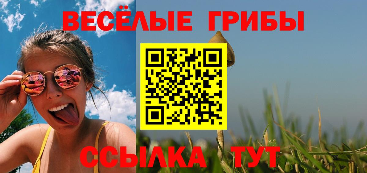 Галлюциногенные грибы Psilocybine cubensis  Псилоцибиновые грибы Psilocybe  Вход с VPN  Рославль 